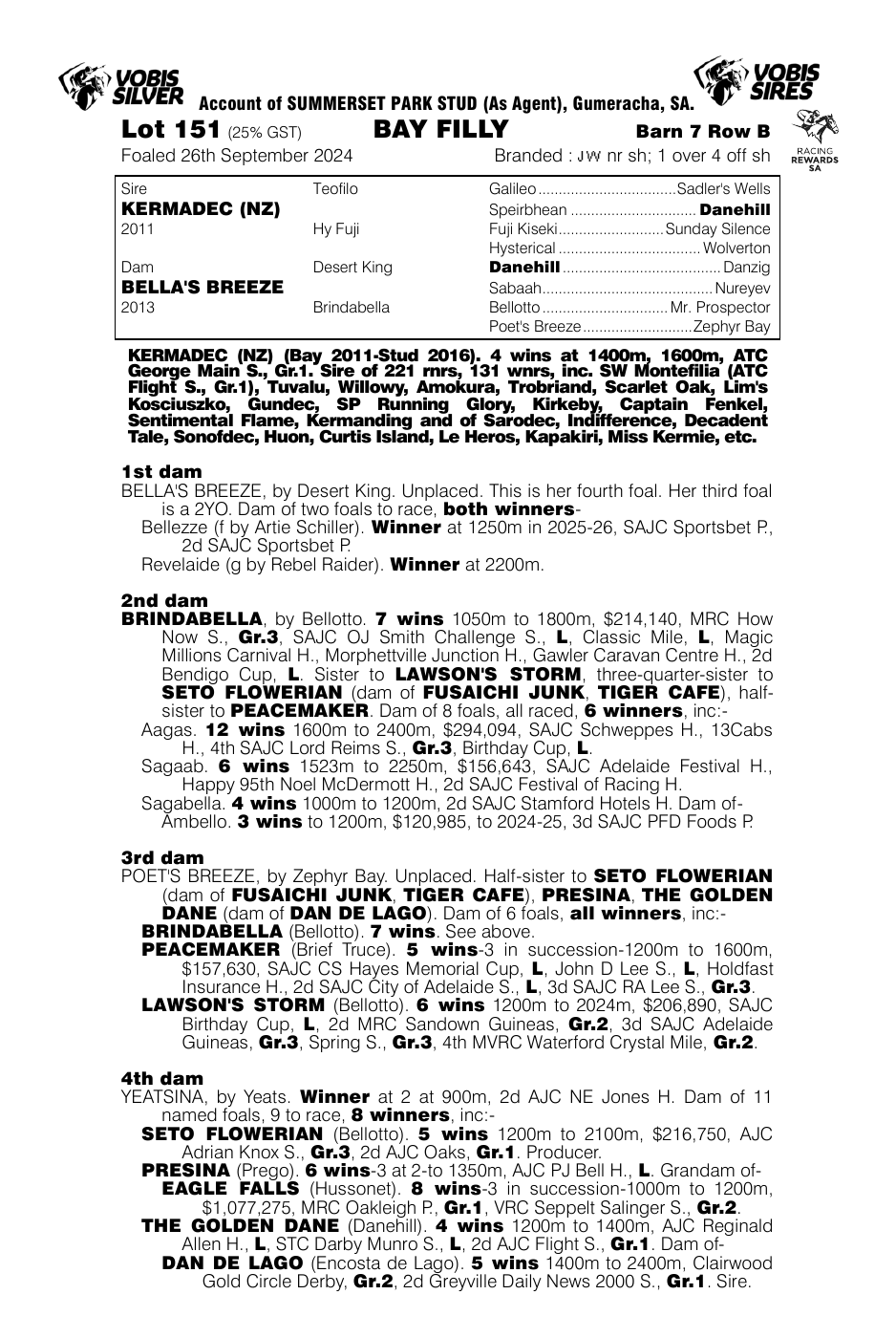 Pedigree - Lot 151