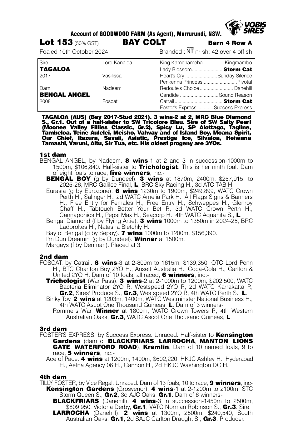 Pedigree - Lot 153