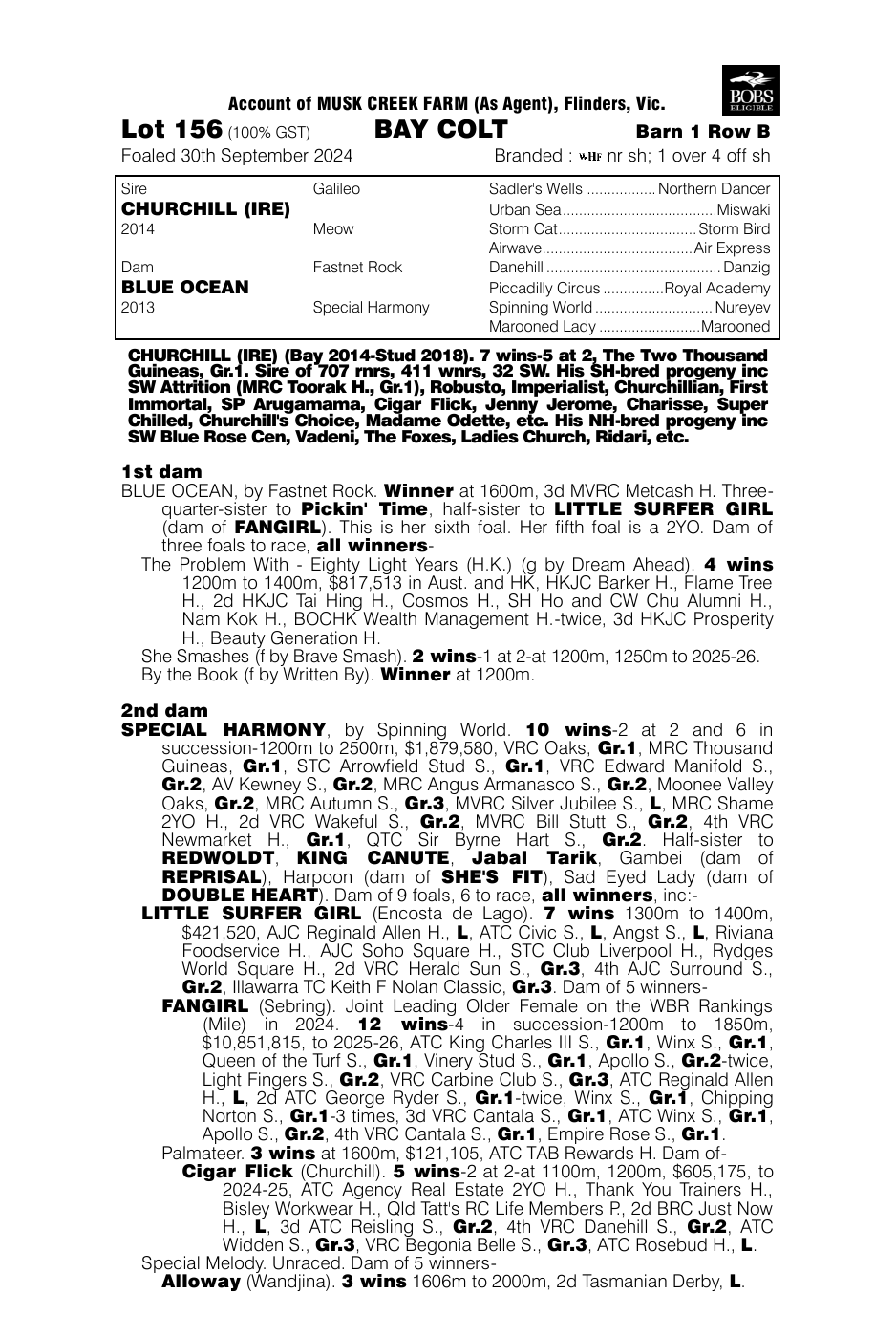 Pedigree - Lot 156