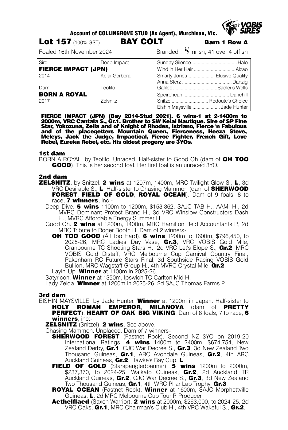 Pedigree - Lot 157