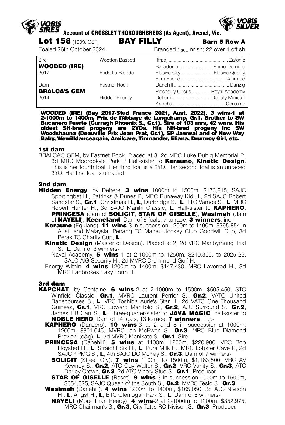 Pedigree - Lot 158