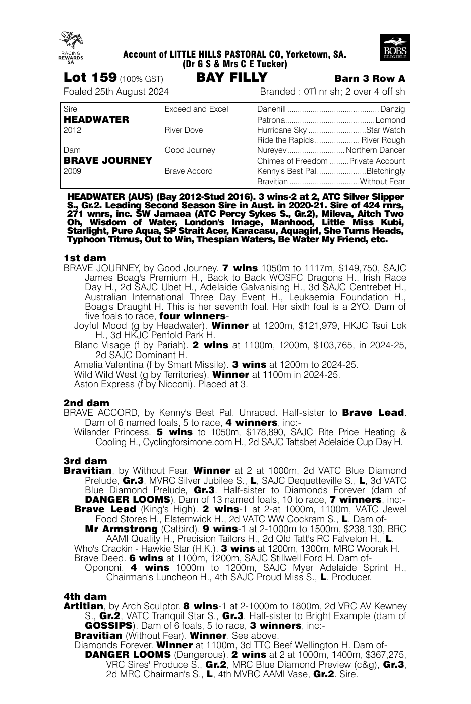 Pedigree - Lot 159