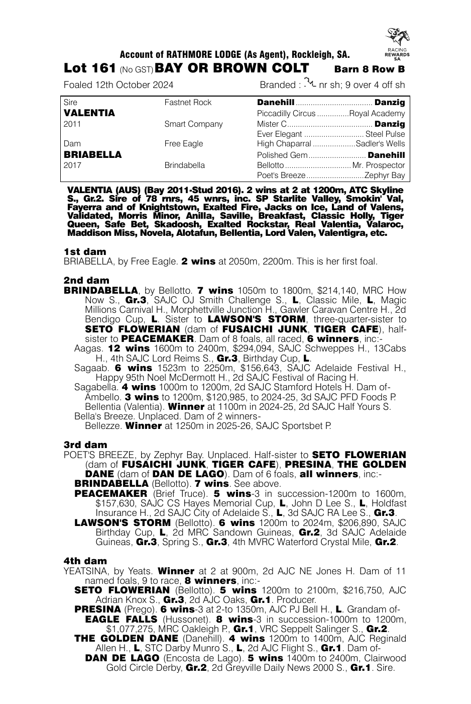 Pedigree - Lot 161