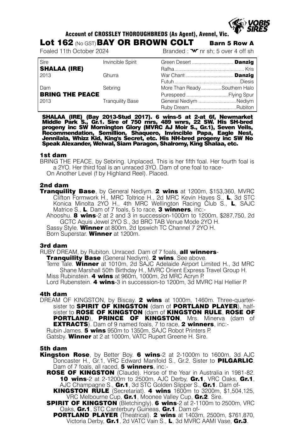 Pedigree - Lot 162