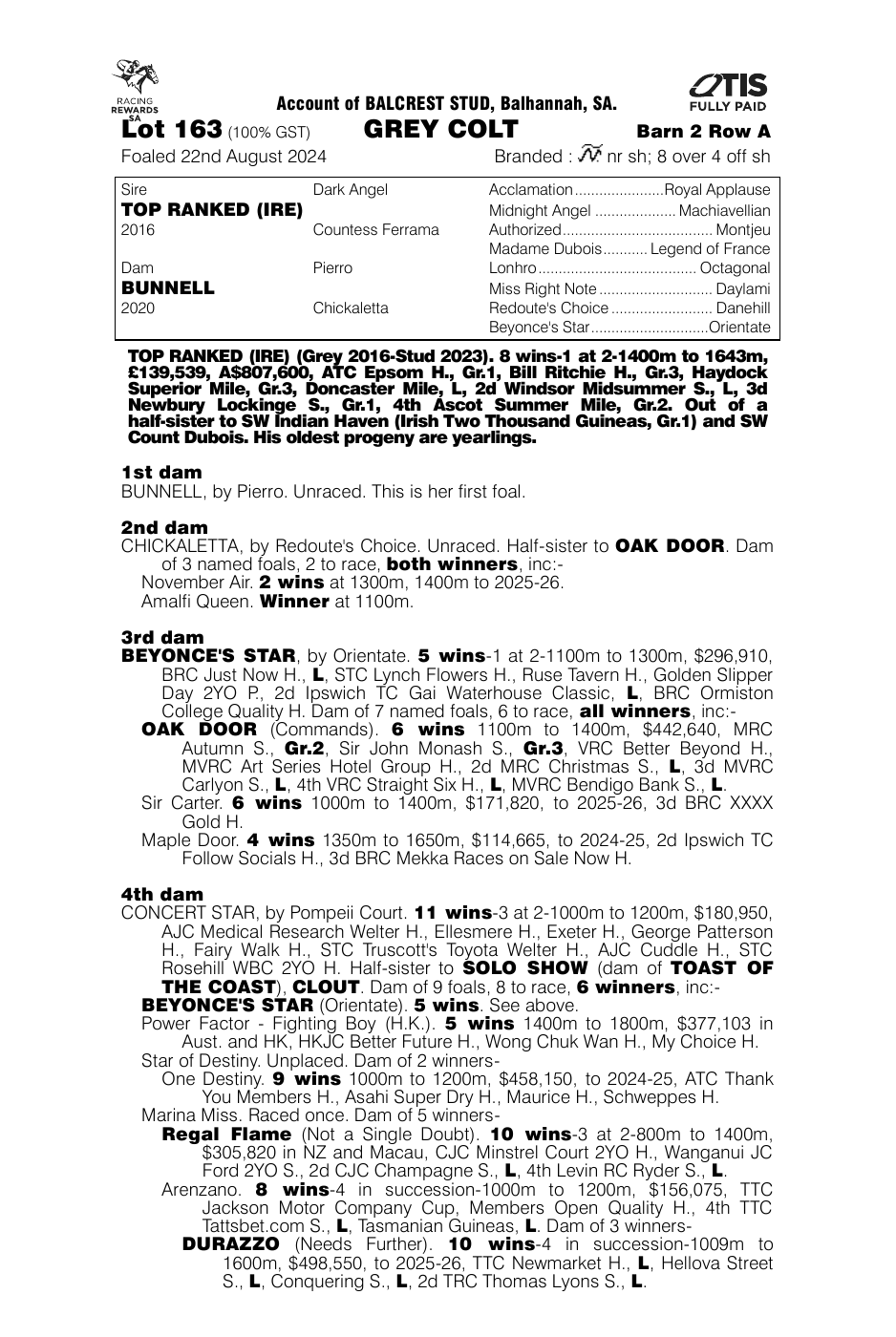 Pedigree - Lot 163
