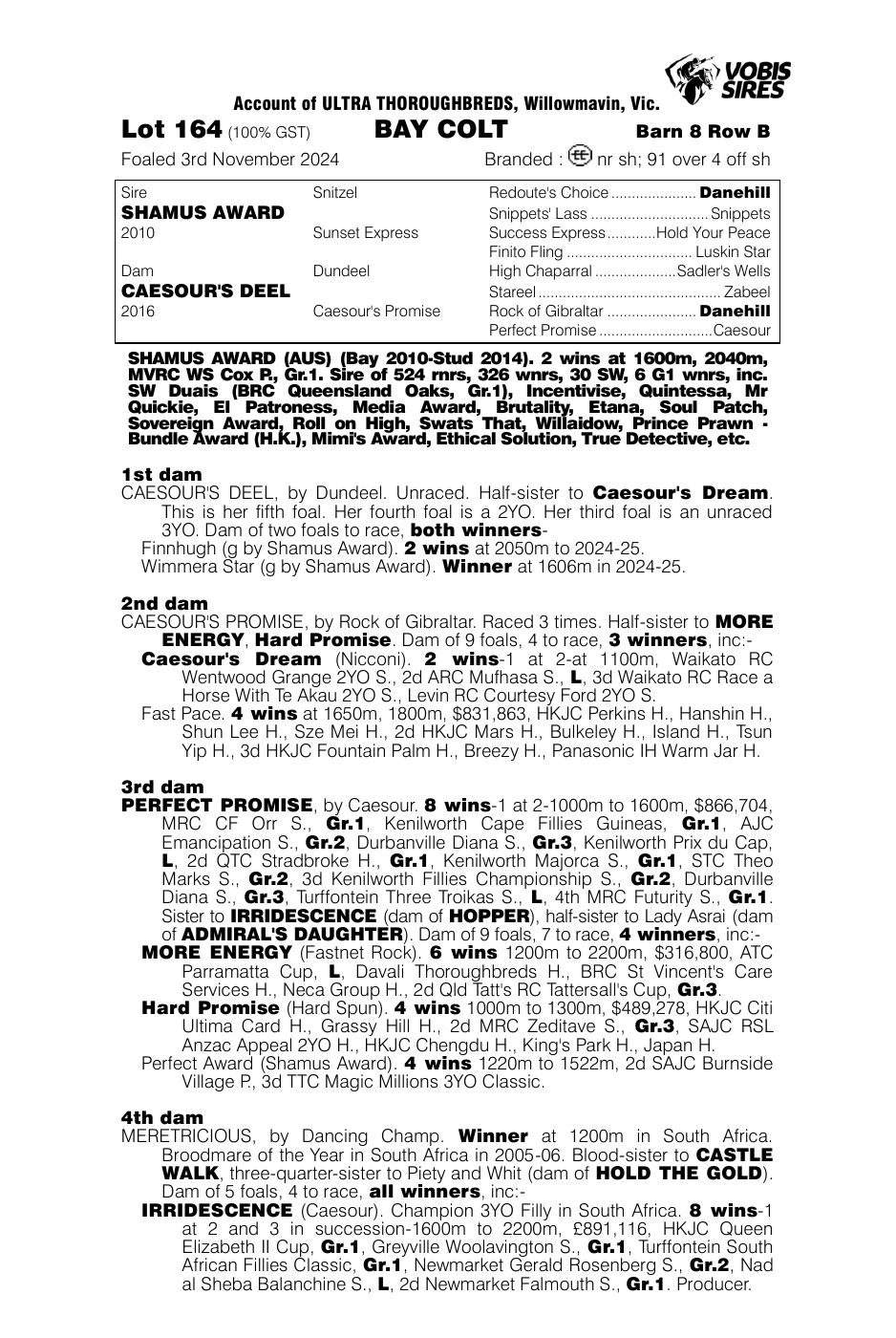 Pedigree - Lot 164