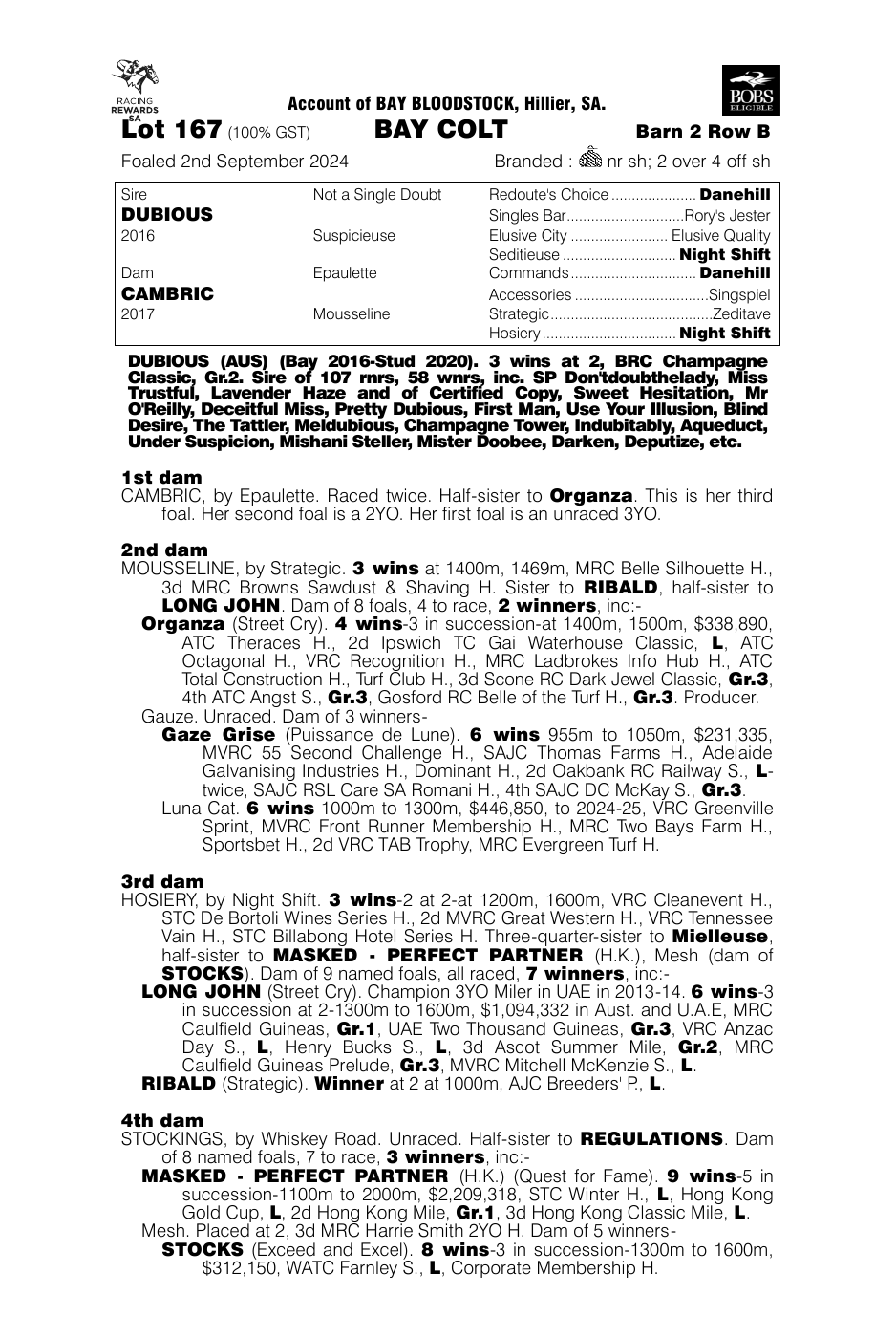 Pedigree - Lot 167