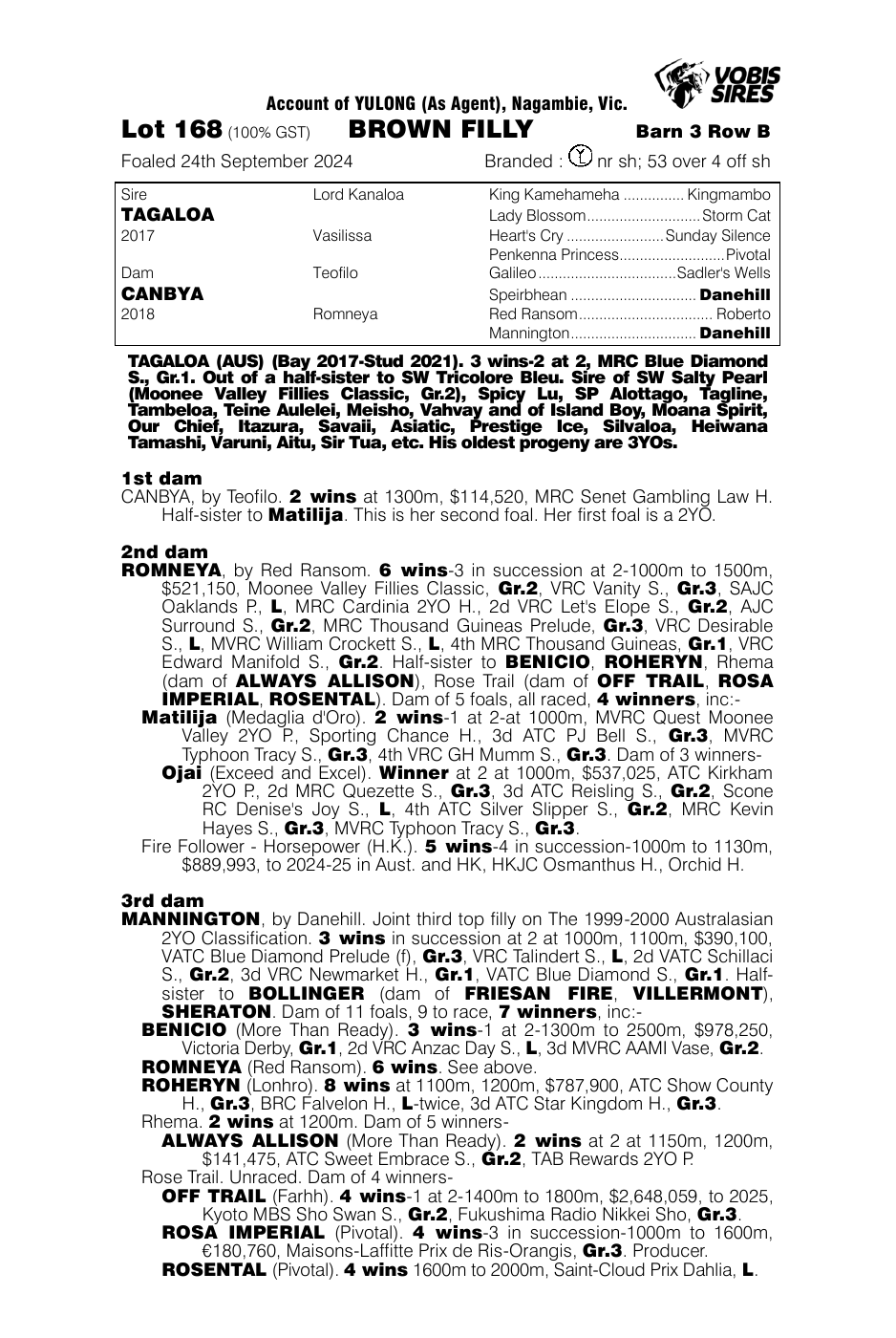 Pedigree - Lot 168
