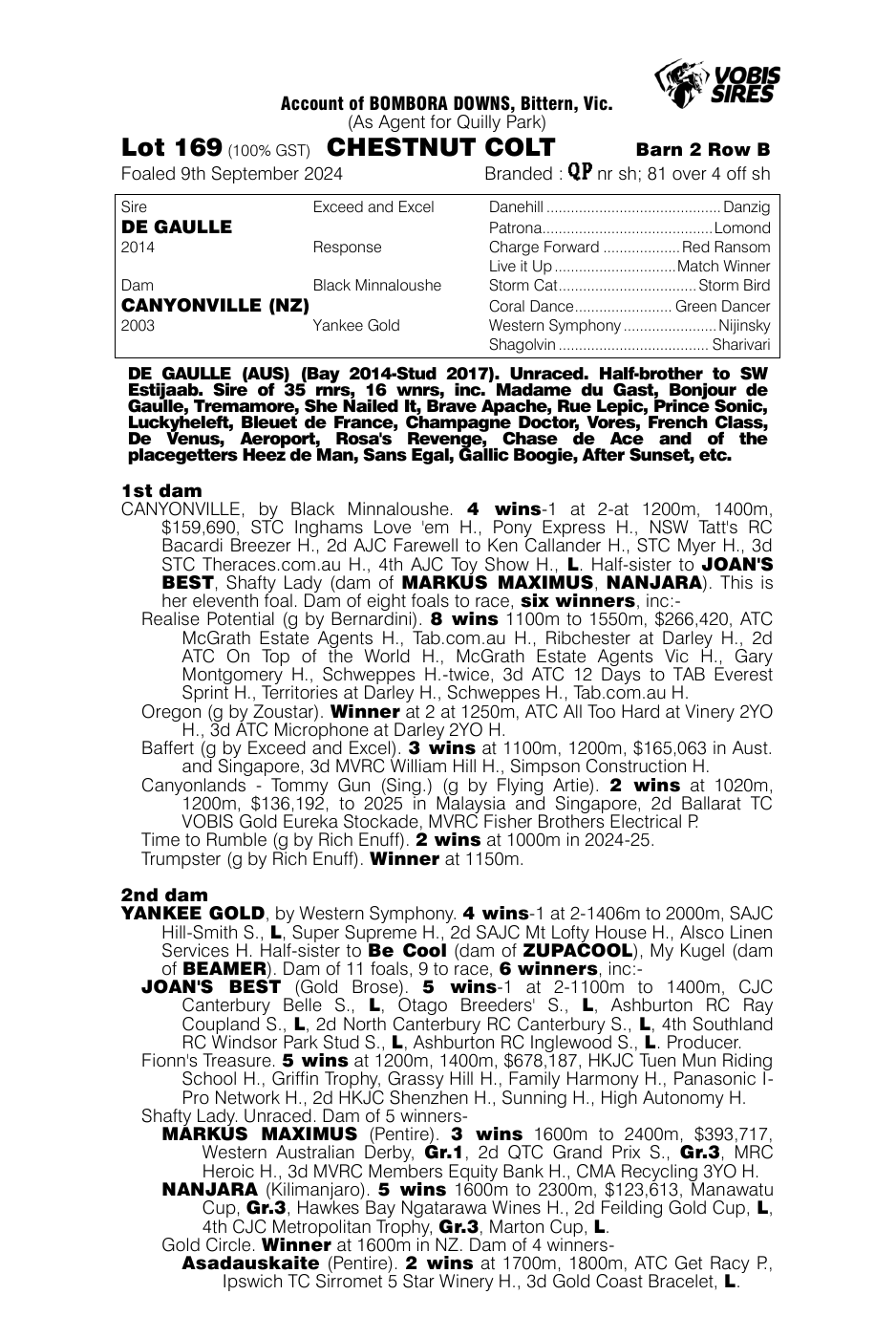 Pedigree - Lot 169