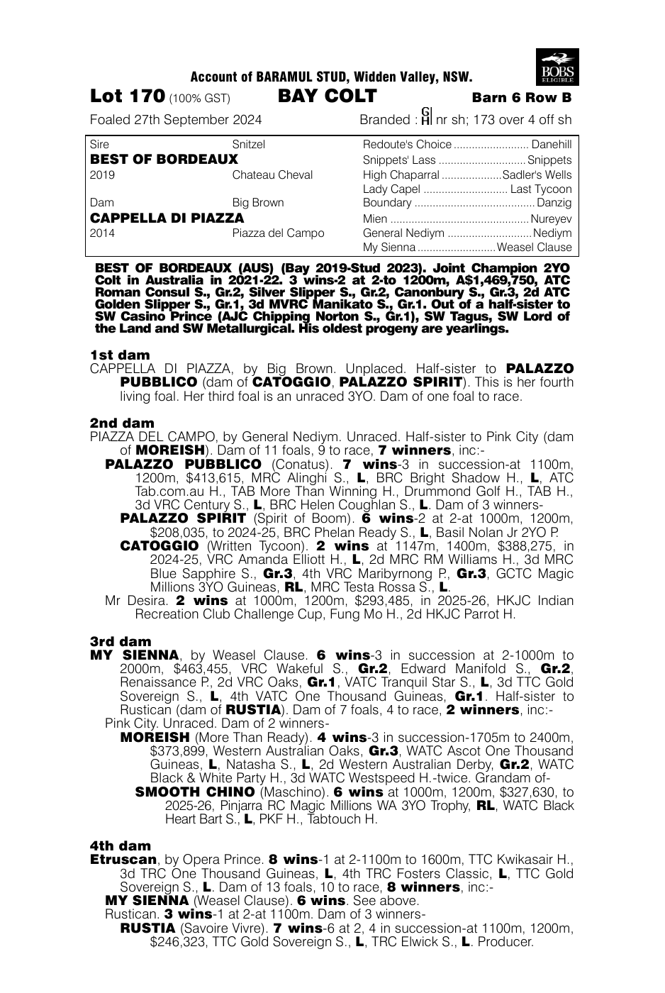 Pedigree - Lot 170