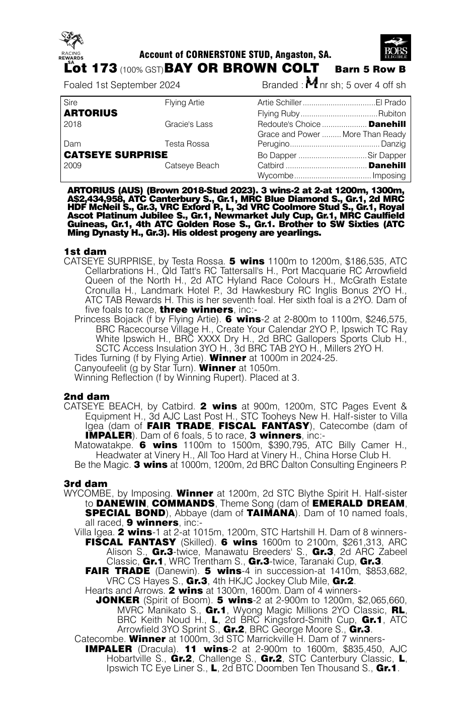 Pedigree - Lot 173