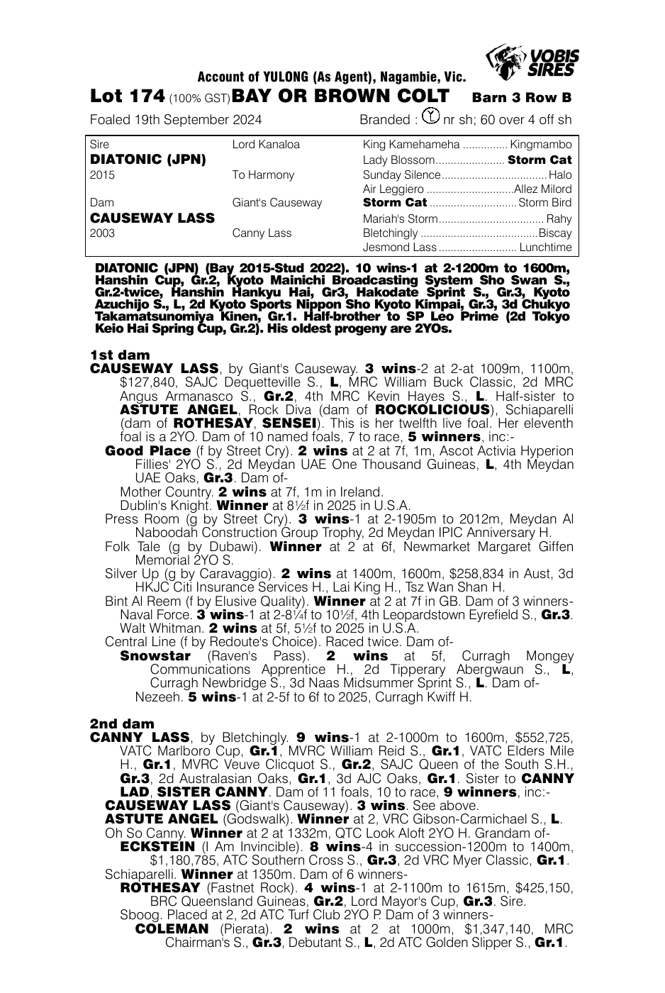 Pedigree - Lot 174