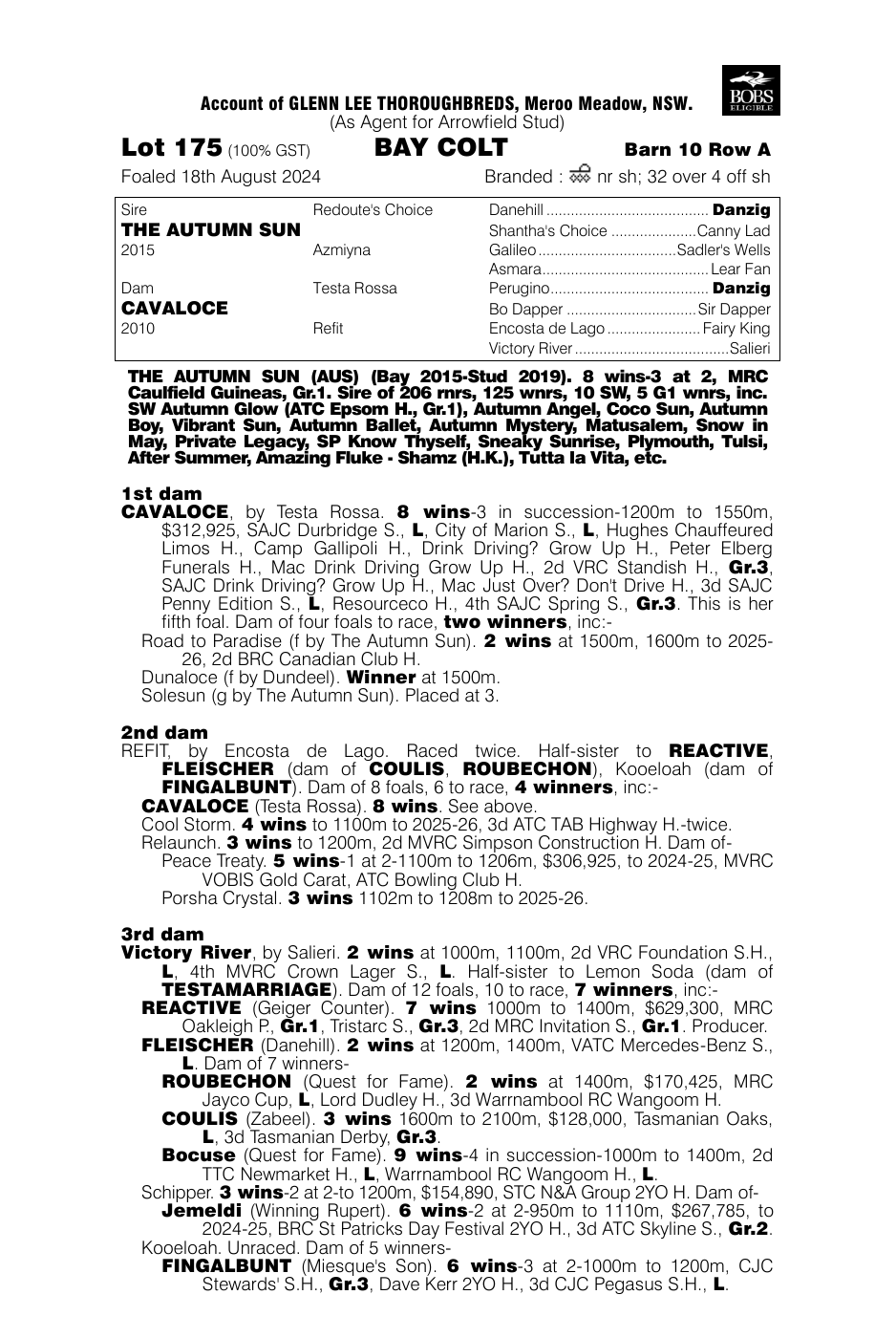 Pedigree - Lot 175