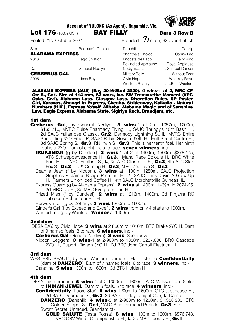 Pedigree - Lot 176