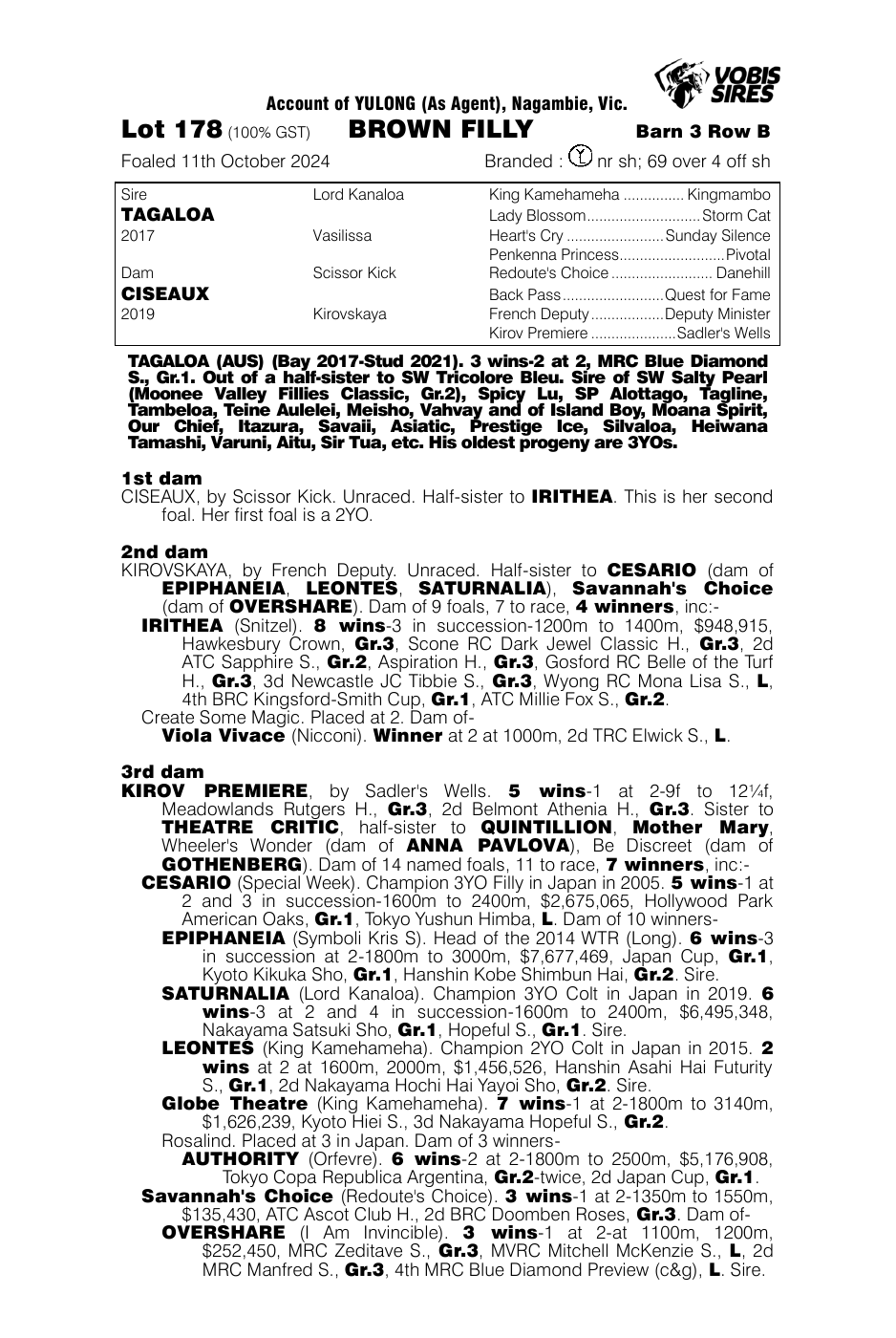 Pedigree - Lot 178