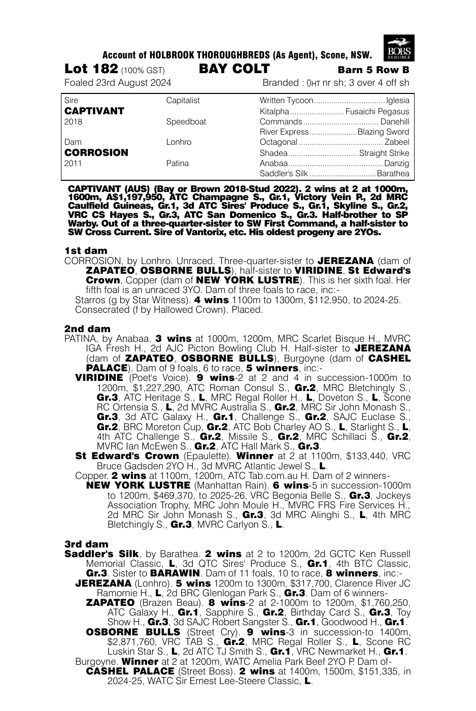 Pedigree - Lot 182