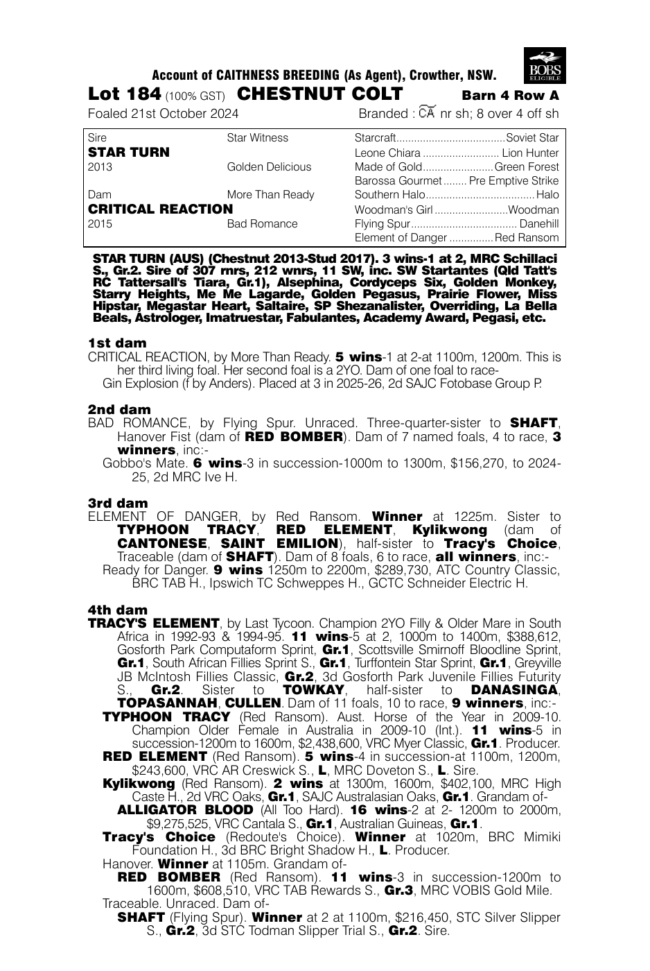 Pedigree - Lot 184