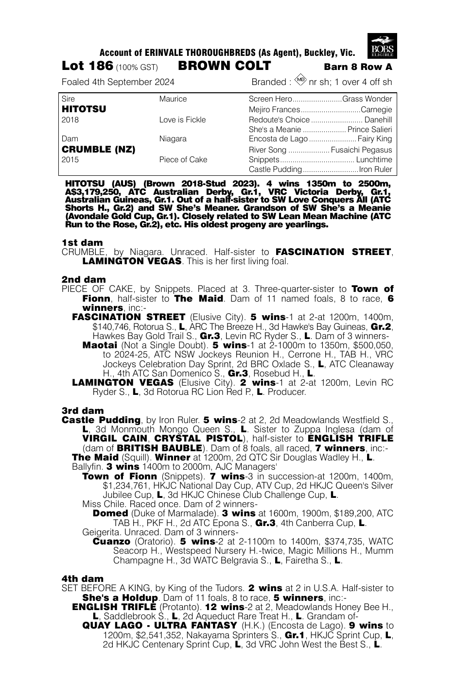 Pedigree - Lot 186
