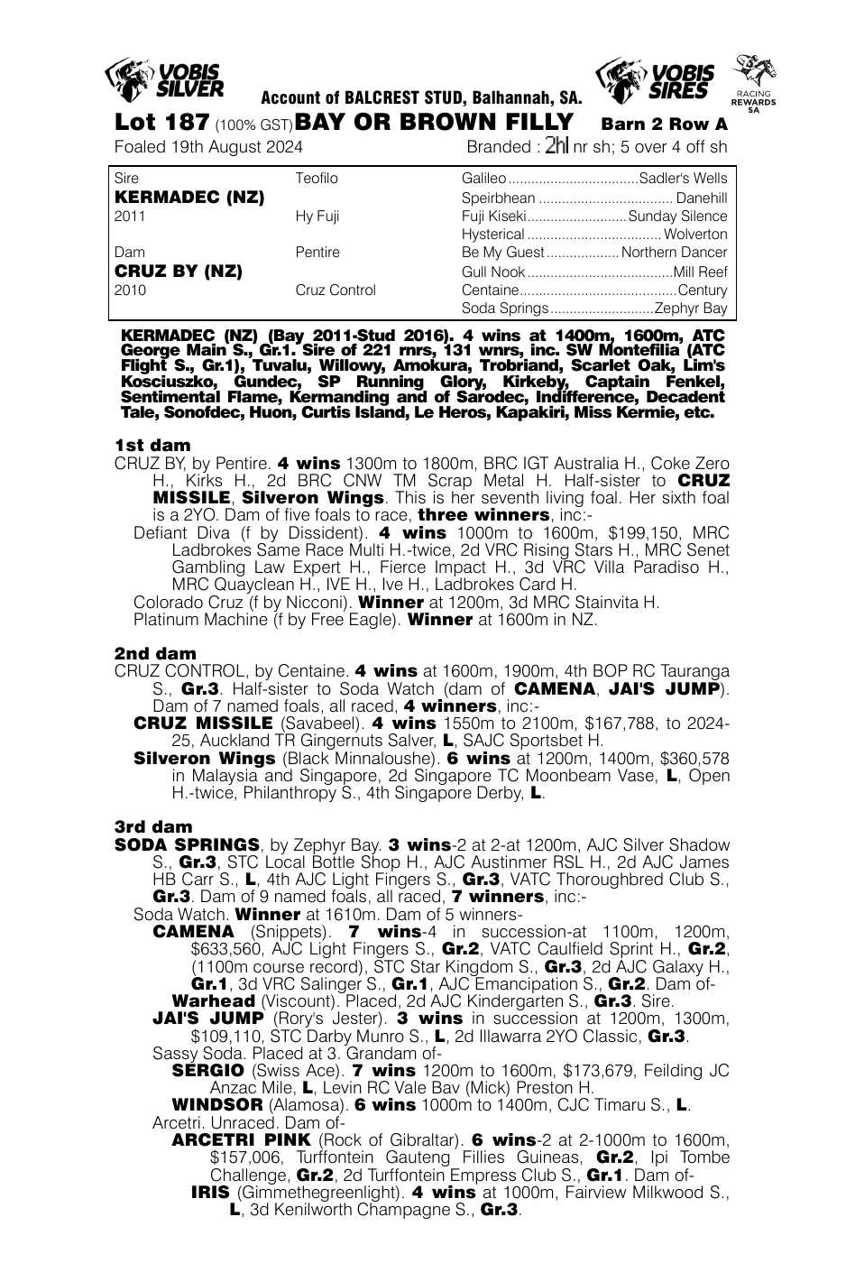 Pedigree - Lot 187