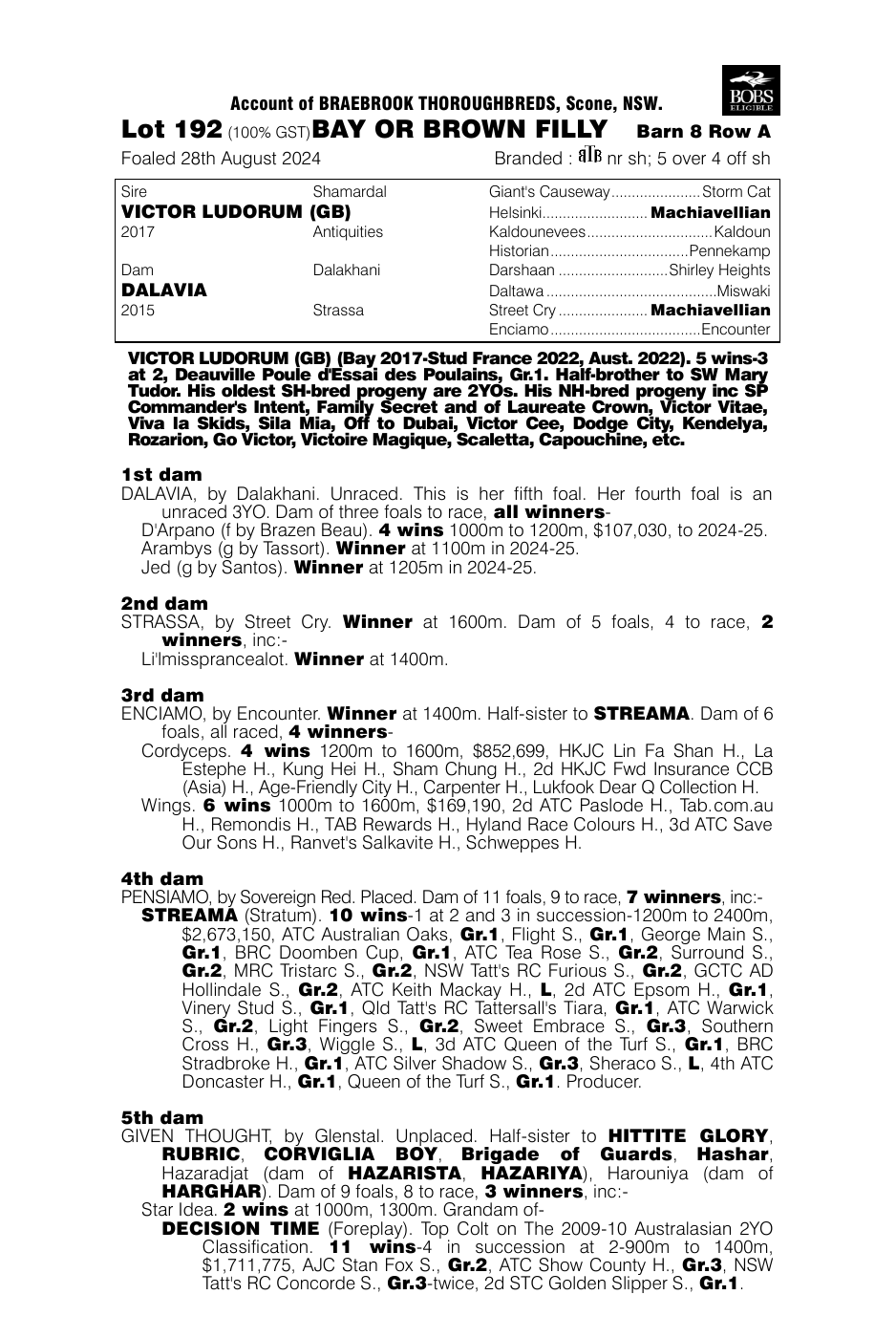Pedigree - Lot 192