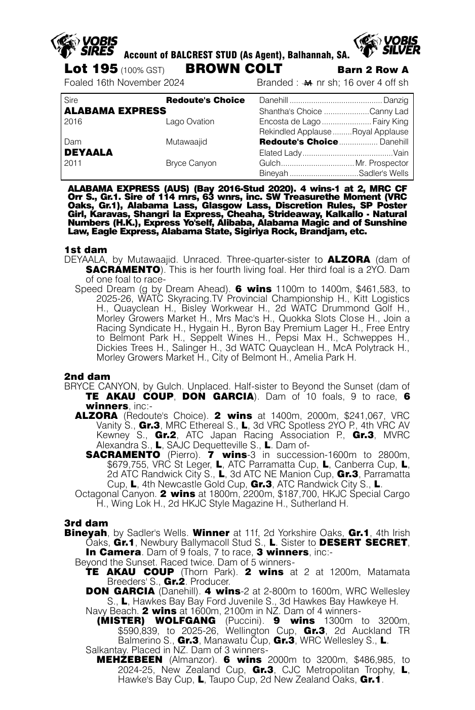 Pedigree - Lot 195