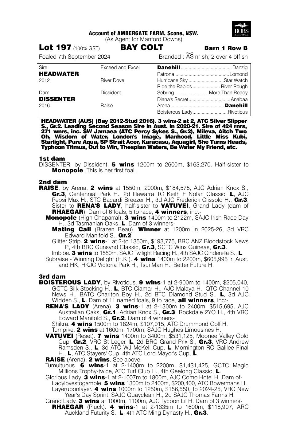 Pedigree - Lot 197