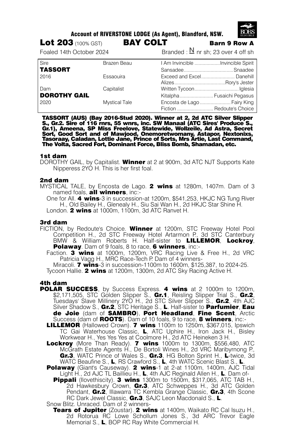 Pedigree - Lot 203