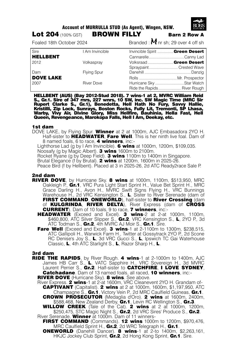 Pedigree - Lot 204