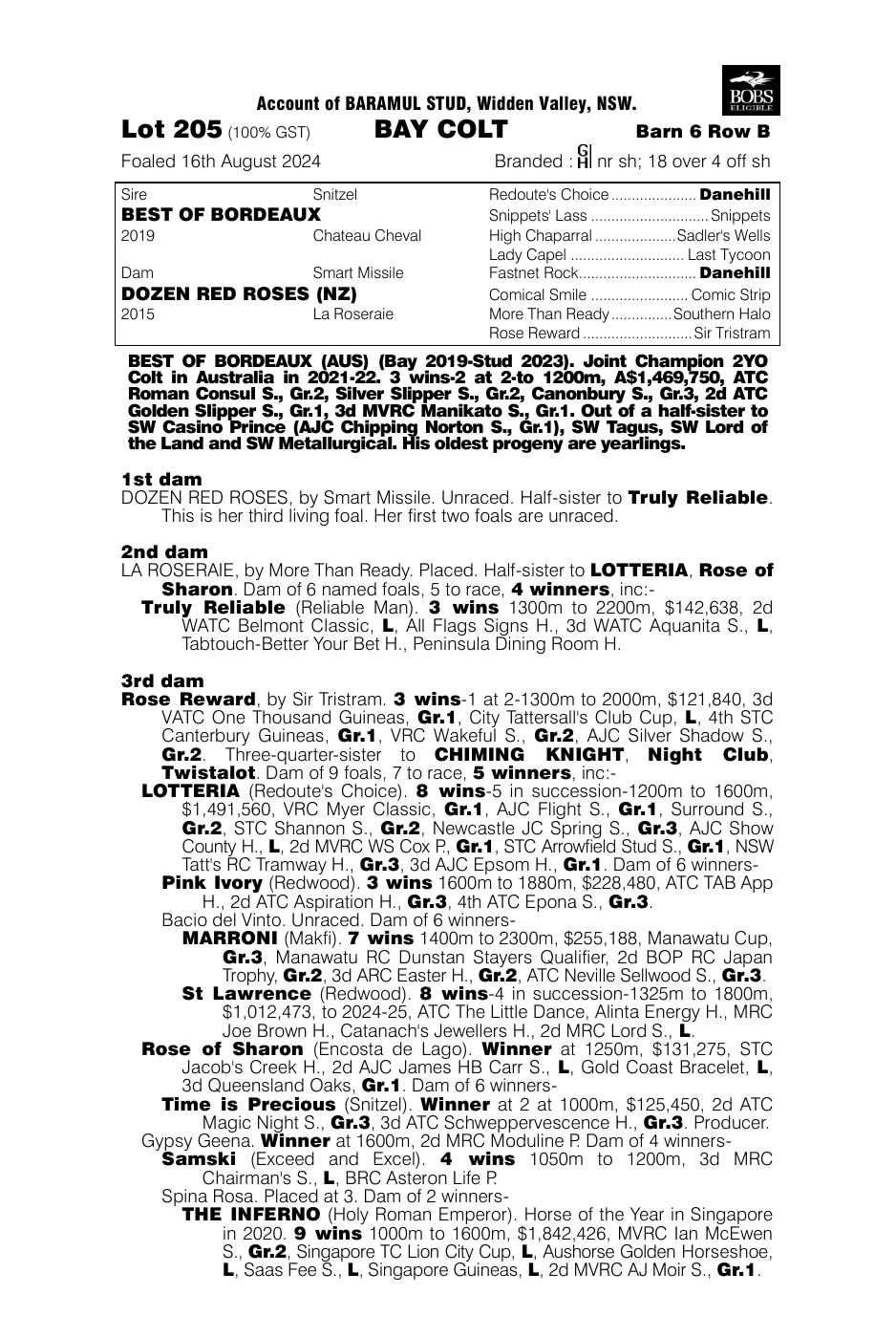 Pedigree - Lot 205