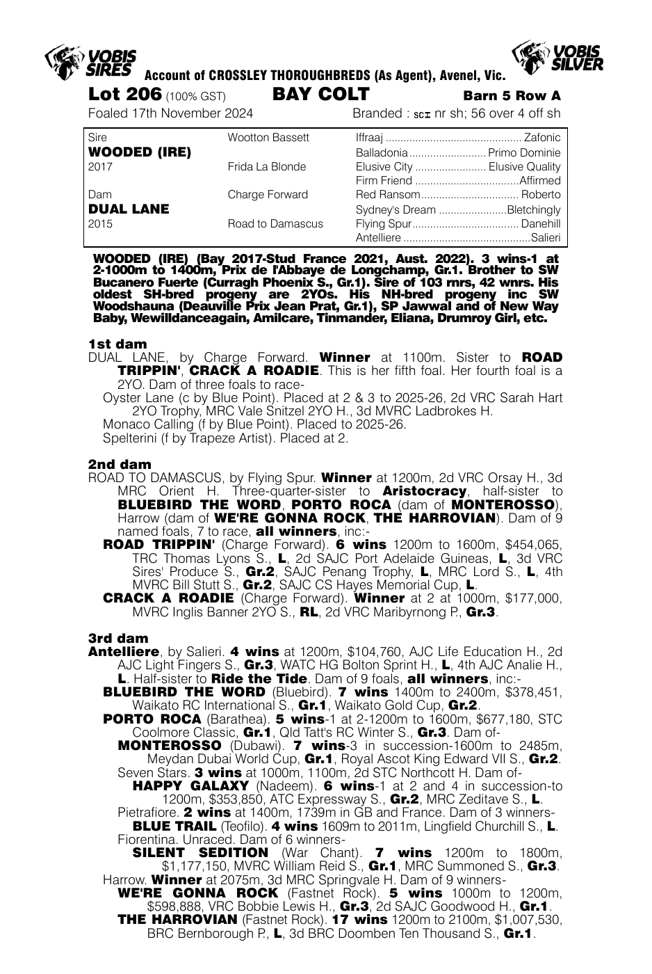 Pedigree - Lot 206
