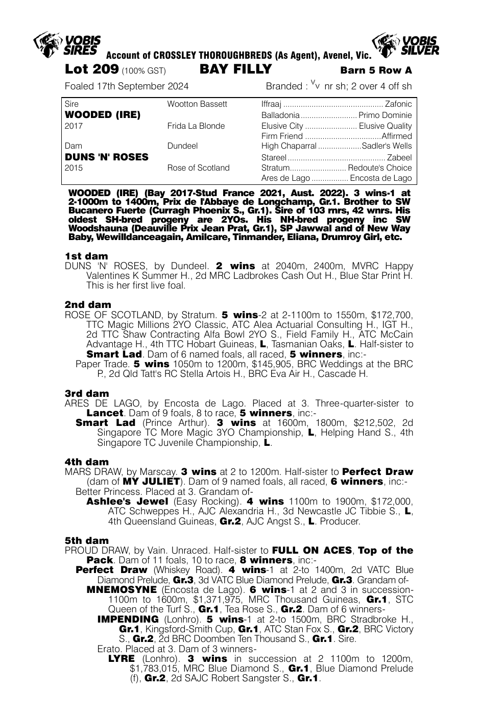 Pedigree - Lot 209
