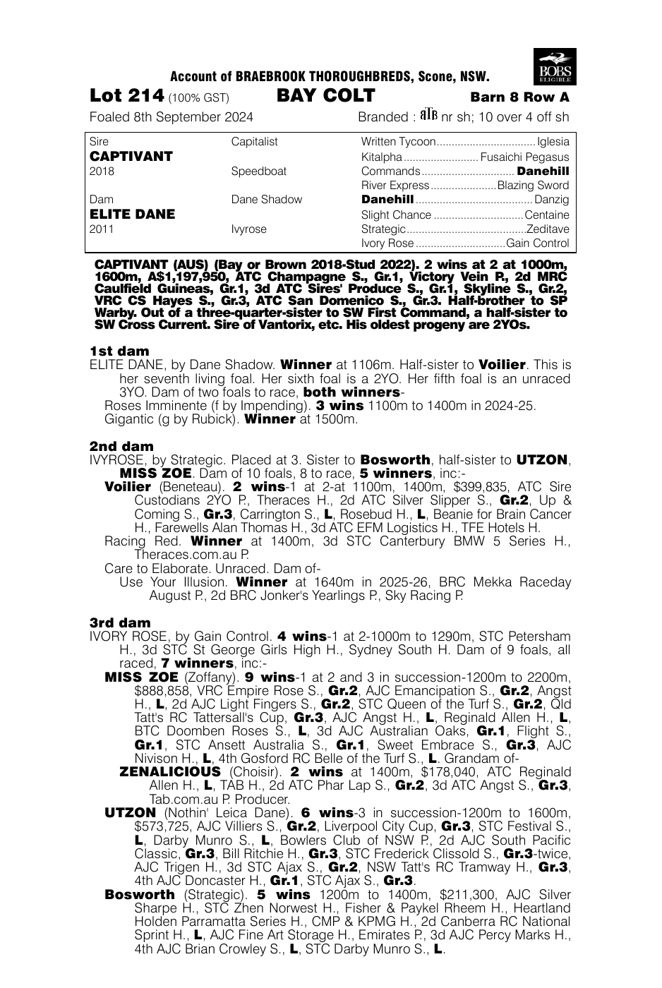 Pedigree - Lot 214