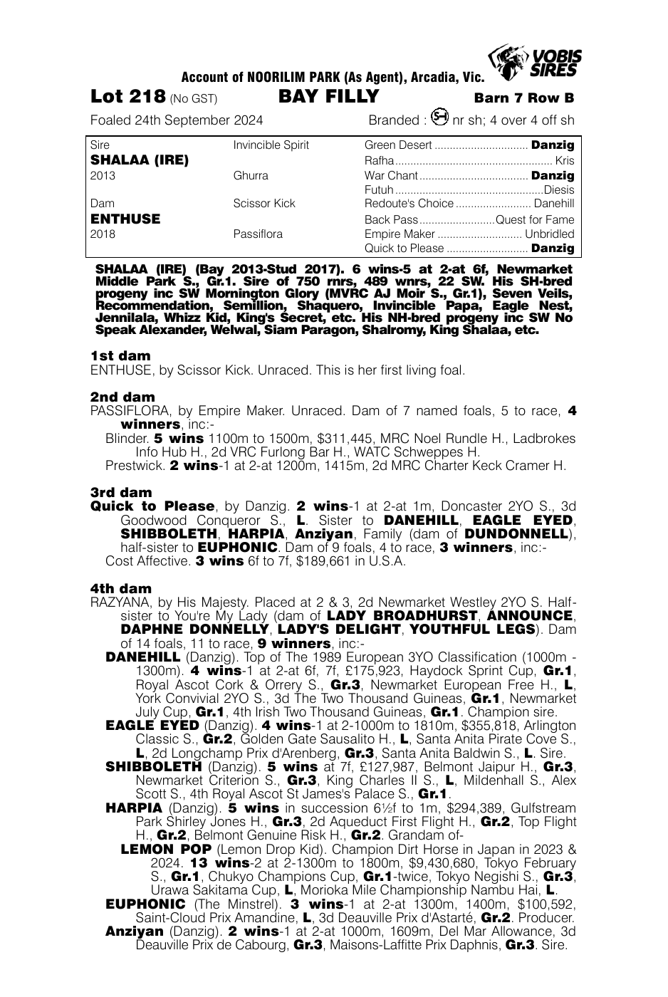 Pedigree - Lot 218