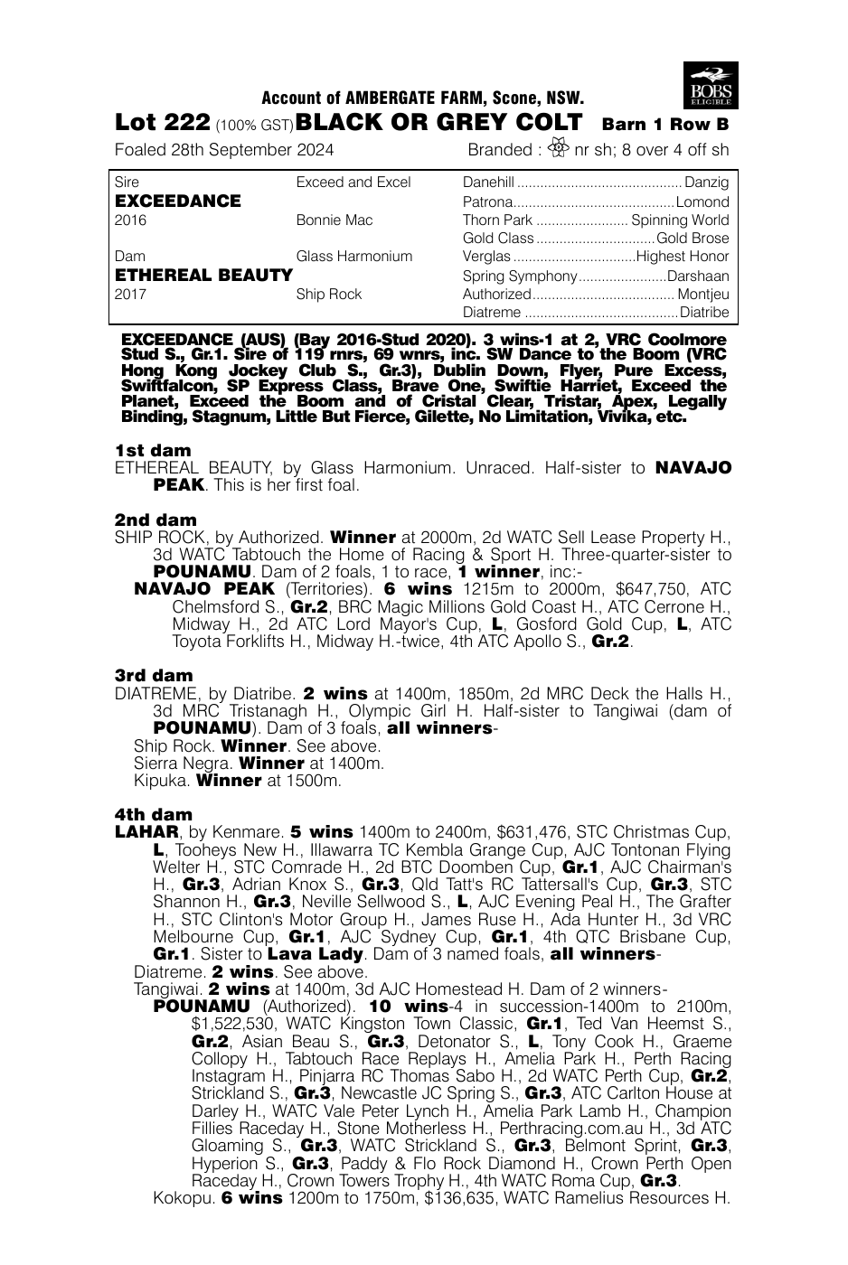 Pedigree - Lot 222