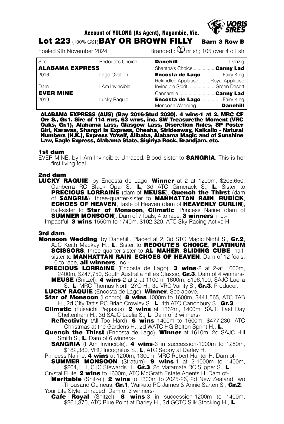 Pedigree - Lot 223