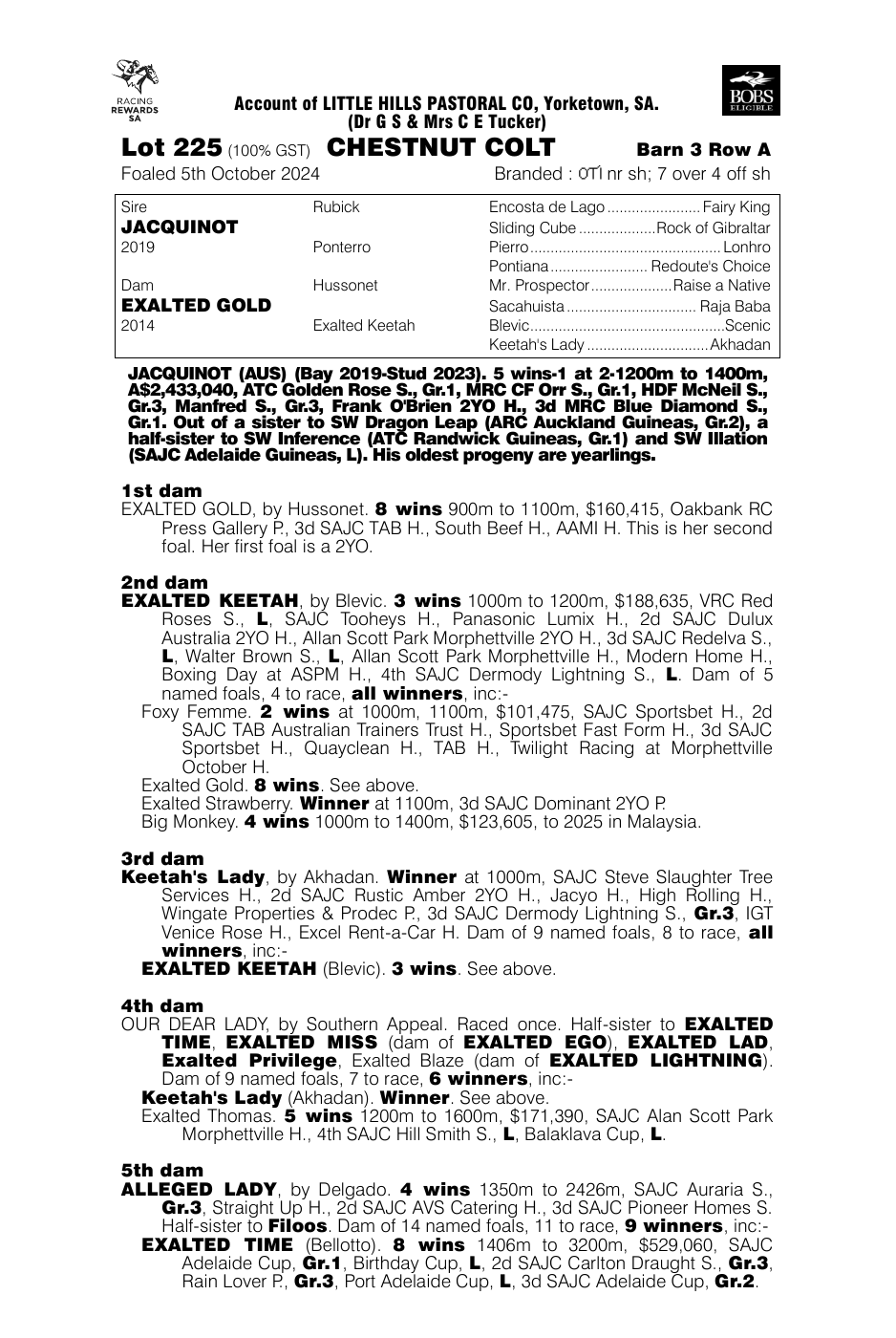 Pedigree - Lot 225