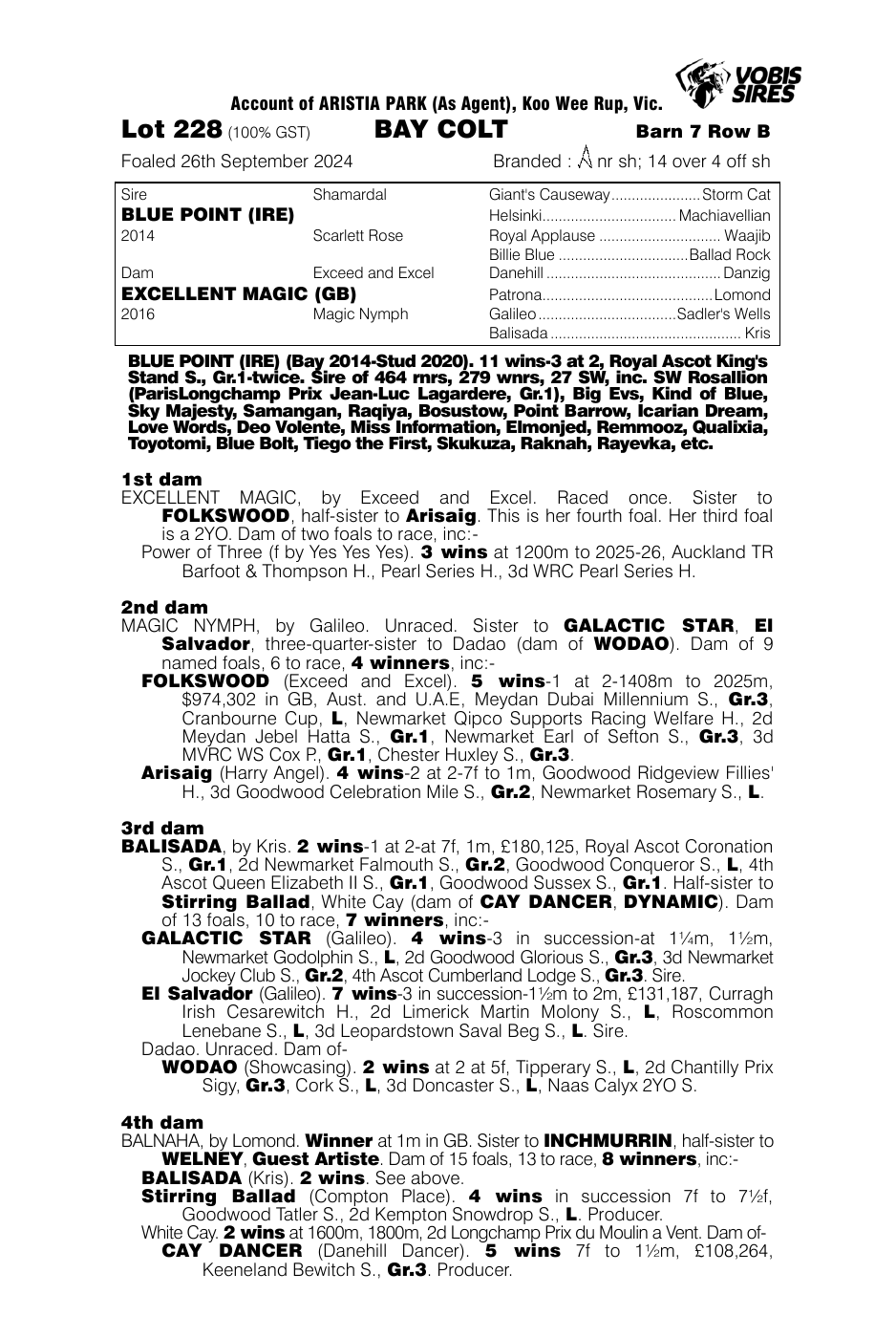 Pedigree - Lot 228