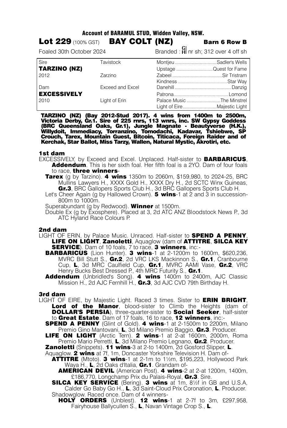 Pedigree - Lot 229