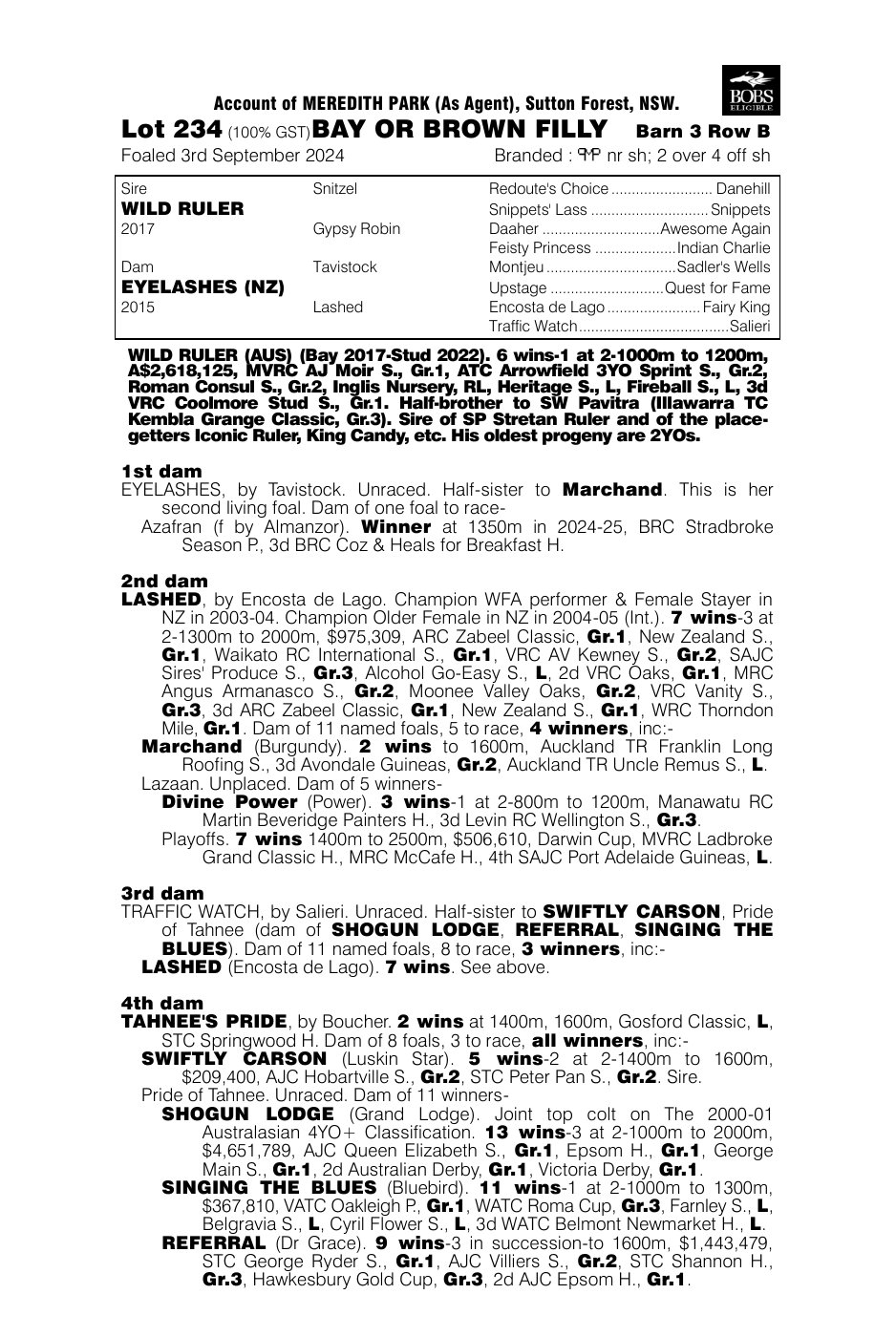 Pedigree - Lot 234