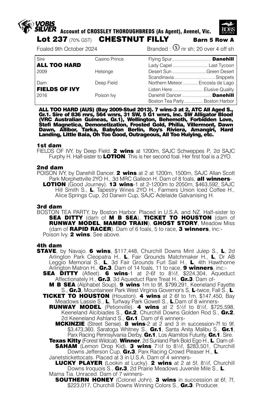 Pedigree - Lot 237