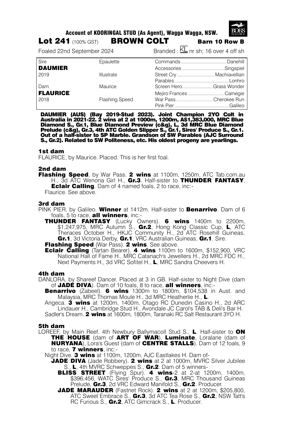Pedigree - Lot 241