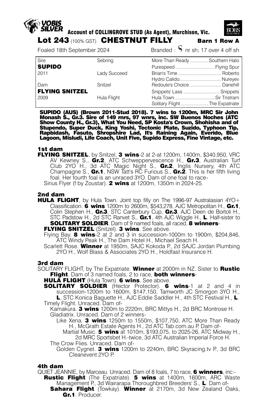 Pedigree - Lot 243