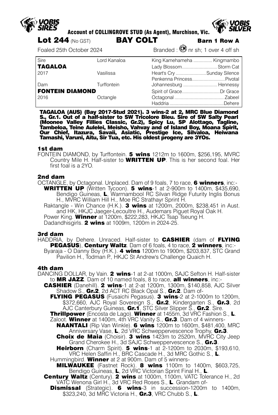 Pedigree - Lot 244