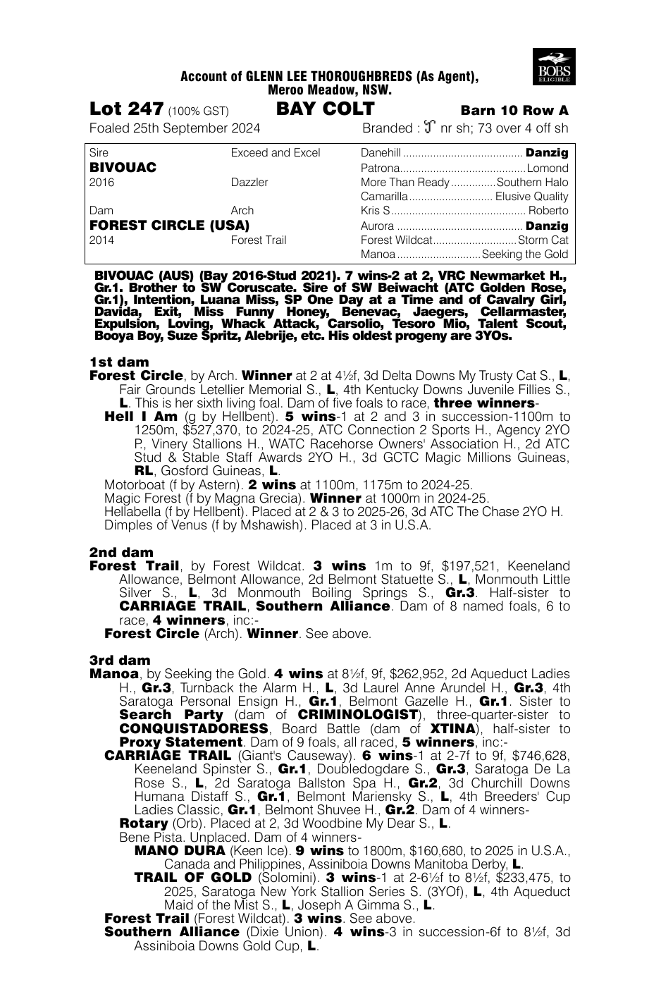 Pedigree - Lot 247