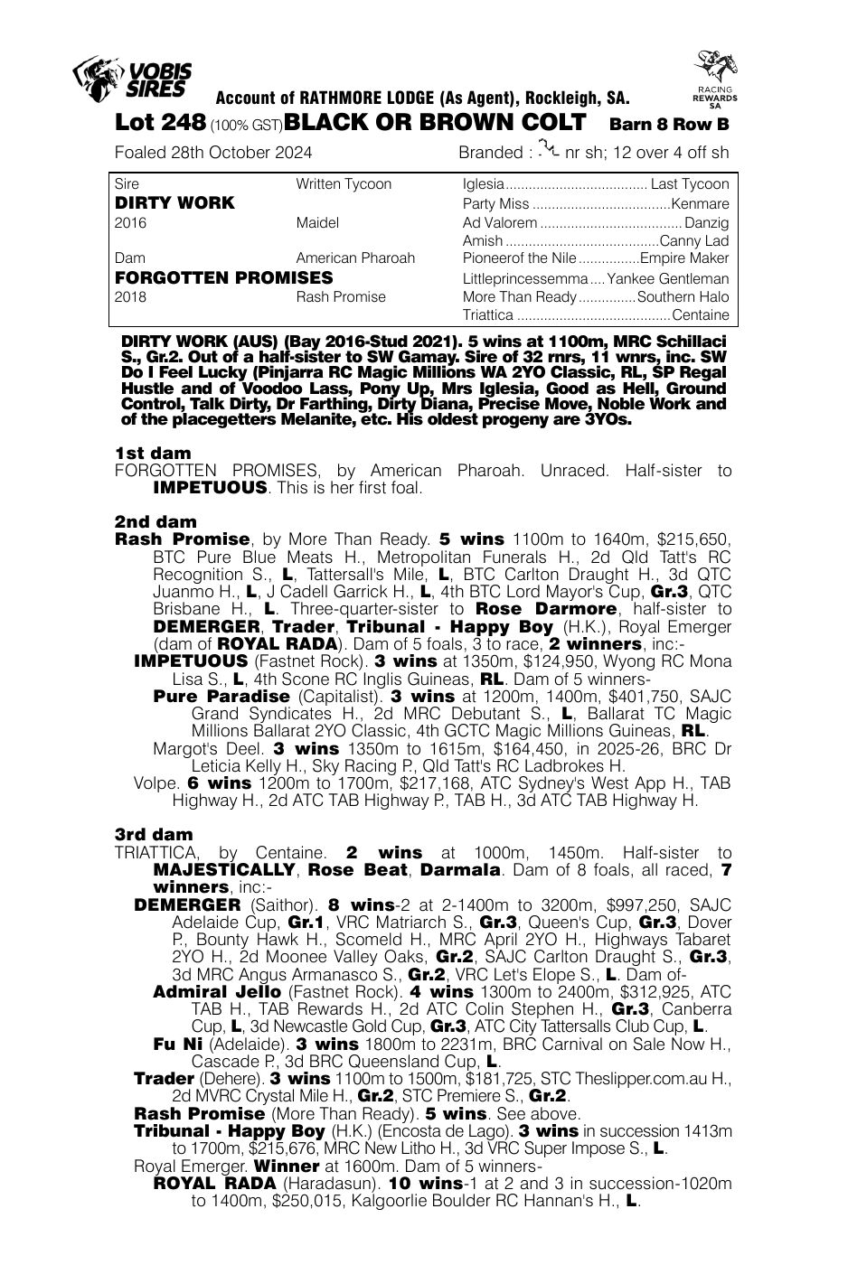Pedigree - Lot 248