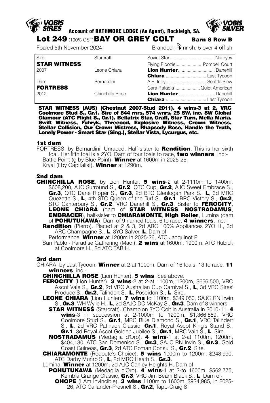 Pedigree - Lot 249