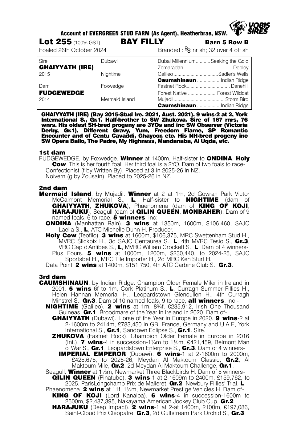 Pedigree - Lot 255