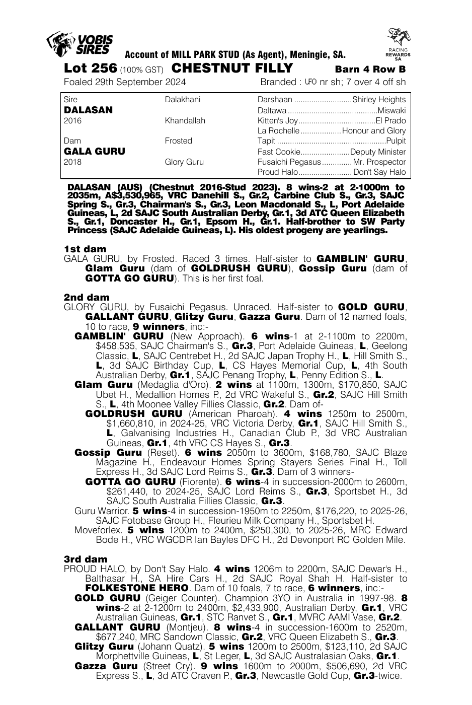 Pedigree - Lot 256