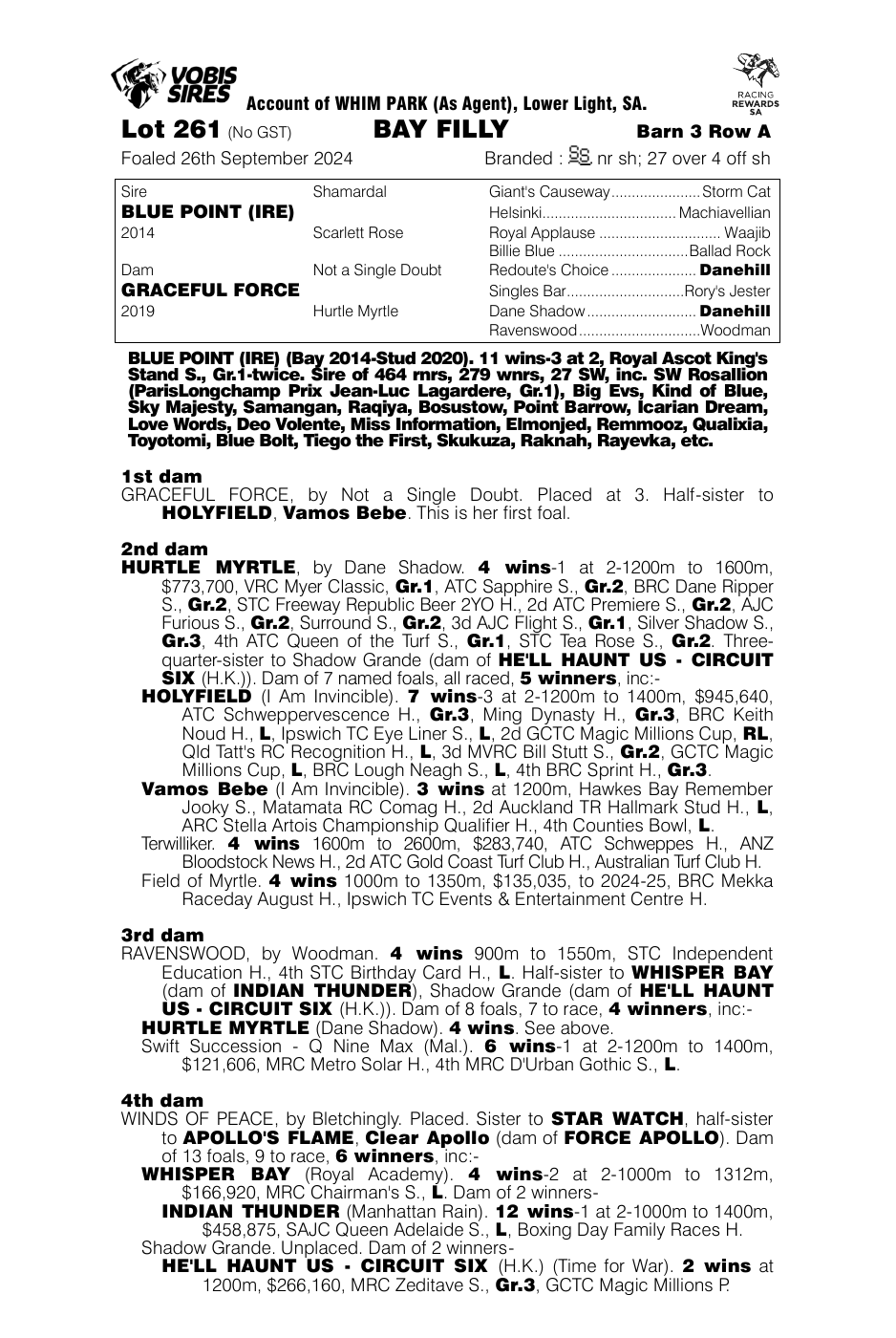 Pedigree - Lot 261