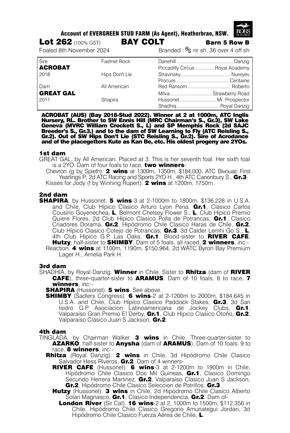 Pedigree - Lot 262